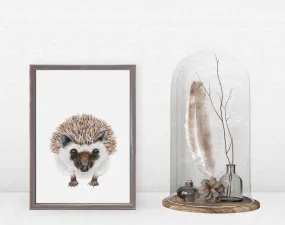 Baby Hedgehog Portrait Mini Framed Canvas Baby Hedgehog Portrait Mini Framed Canvas