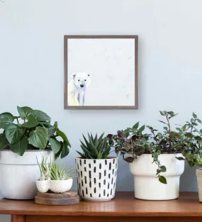 Baby Polar Bear Mini Framed Canvas Baby Polar Bear Mini Framed Canvas