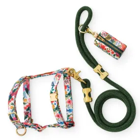 Rifle Paper Co. x TFD Garden Party Harness Walk Set Rifle Paper Co. x TFD Garden Party Harness Walk Set