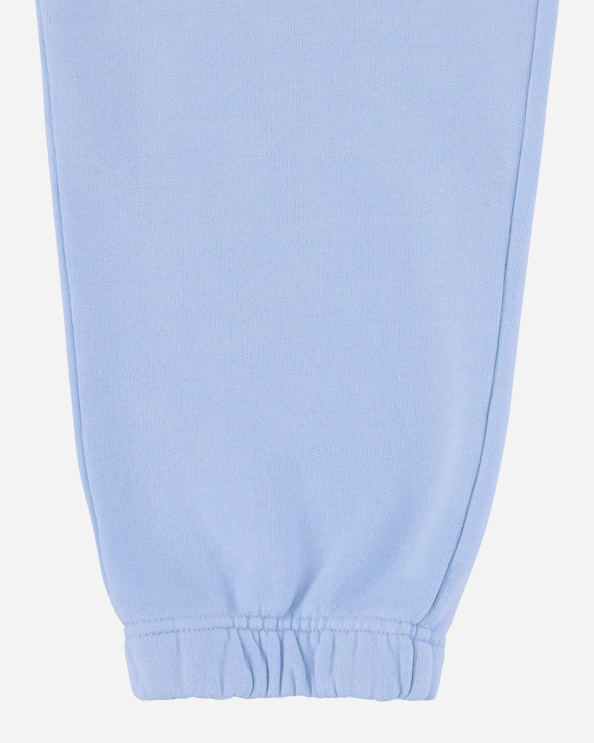 Women's Wordmark Fleece Pants Blue
